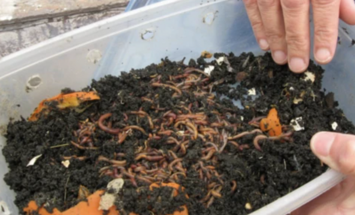 4 Easy At-Home Composting Methods & Systems